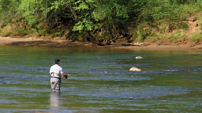 Columbus, Ga 5 Fishing Columbus GA