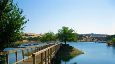 Pardee Reservoir 10 Camping Area at Pardee Lake