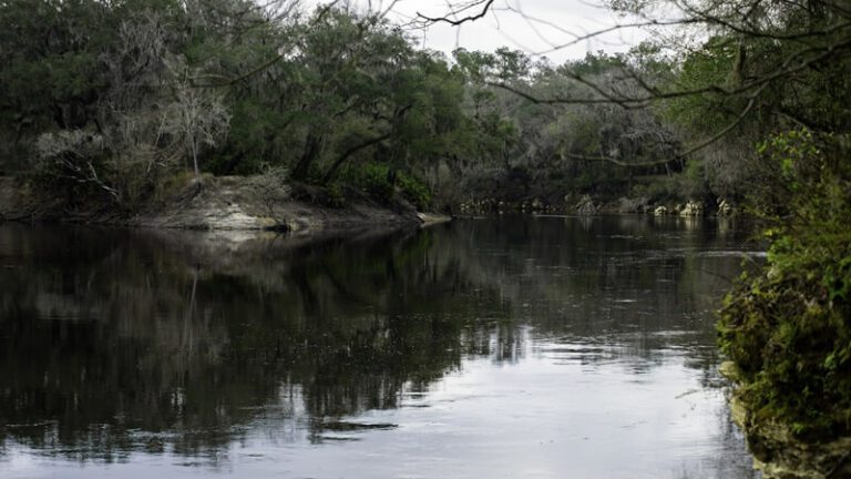 Suwannee River