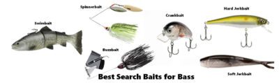 Best Search Baits for Bass 2 Best Search Baits for Bass