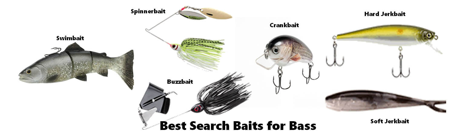 Best Search Baits for Bass 1 Best Search Baits for Bass