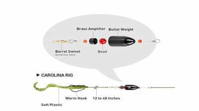 Bass Fishing Rigs 3 Carolina Rig