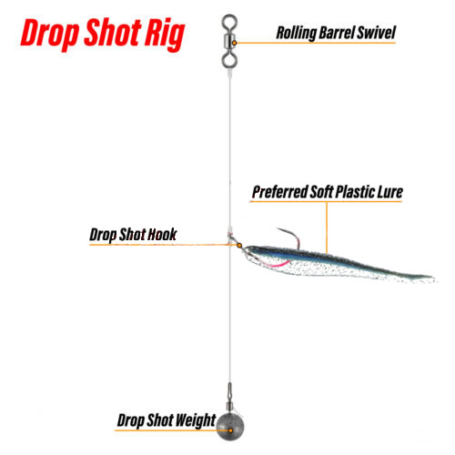 Simple One Hook Drop Rigs Mastering the #1 Drop Shot Rig for Bass: Hookup to Success!