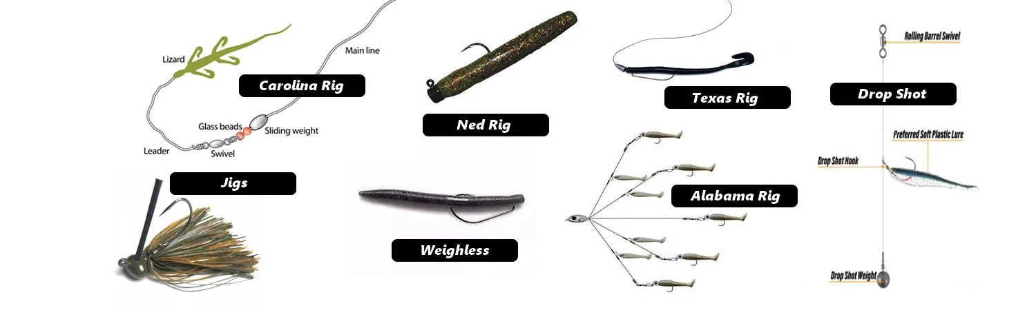 Bass Fishing Rigs 1 Best Bass Fishing Rigs