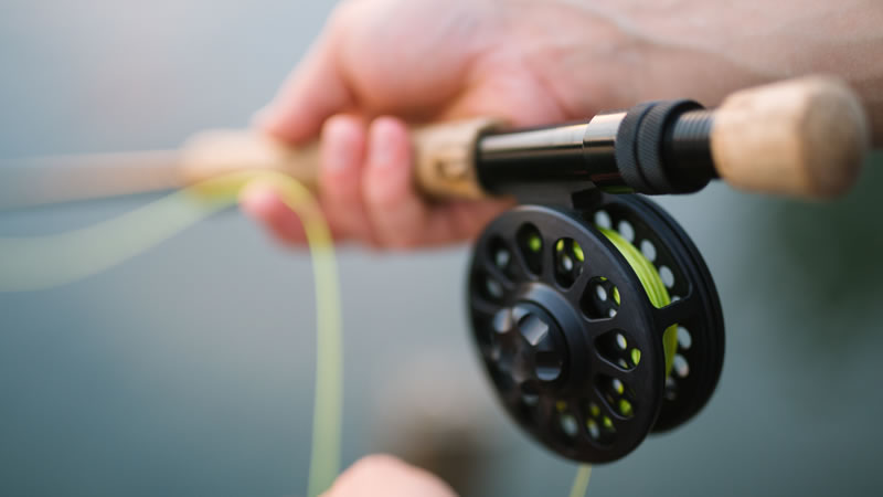 Rising popularity of fly fishing
