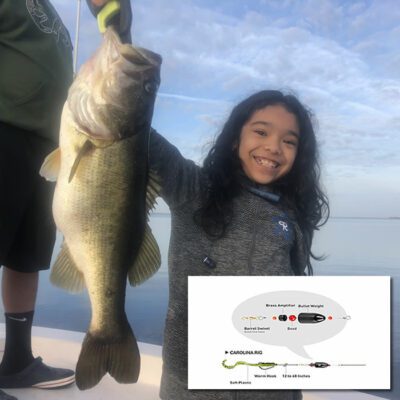 The Carolina Rig for Bass Fishing: Is It a Superior Choice? 3 Carolina Rigs for Bass