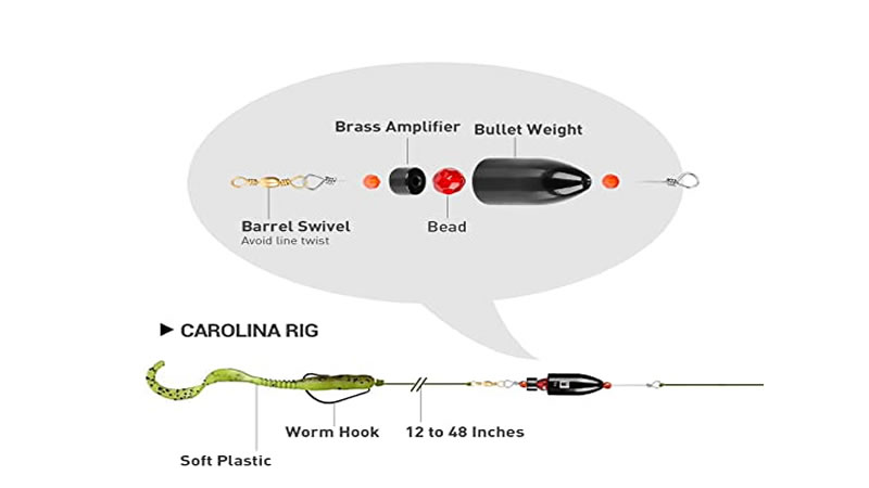 The Carolina Rig for Bass Fishing: Is It a Superior Choice? 2 Carolina Rig for Bass Fishing