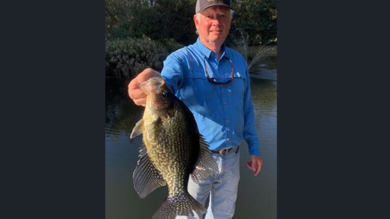 St Johns River fishing charter for Crappie with Capt David Lang