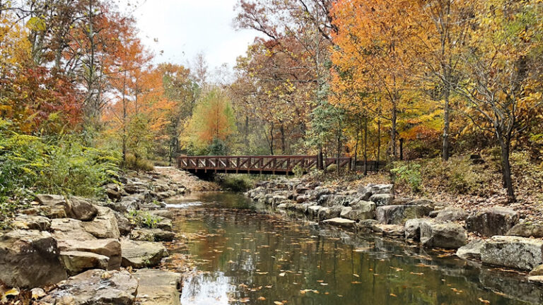 Bentonville Arkansas