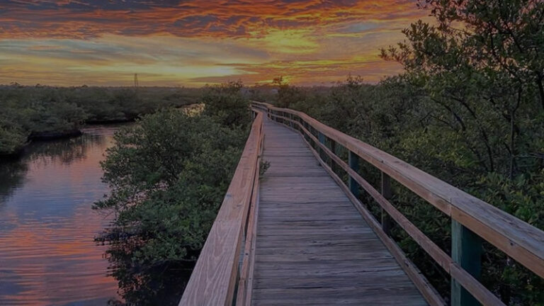 Palm Coast Florida Fishing