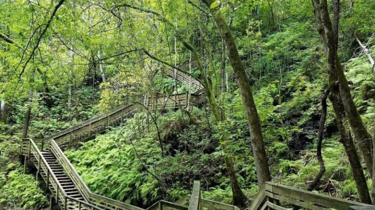 Gainesville, FL 2 Gainesville Florida