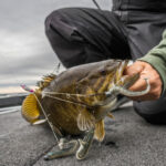 Javors Lucas Lake thumbnail