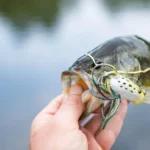 Allegheny River thumbnail