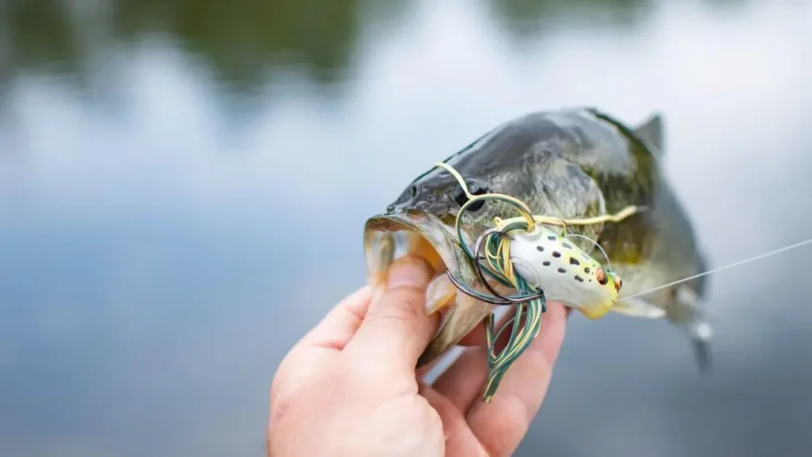 Allegheny River photo