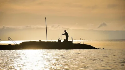 12 Best Smallmouth Bass Fishing States Anglers Must Visit