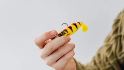 12 Wacky Rig Bass Fishing Secrets Every Angler Should Know