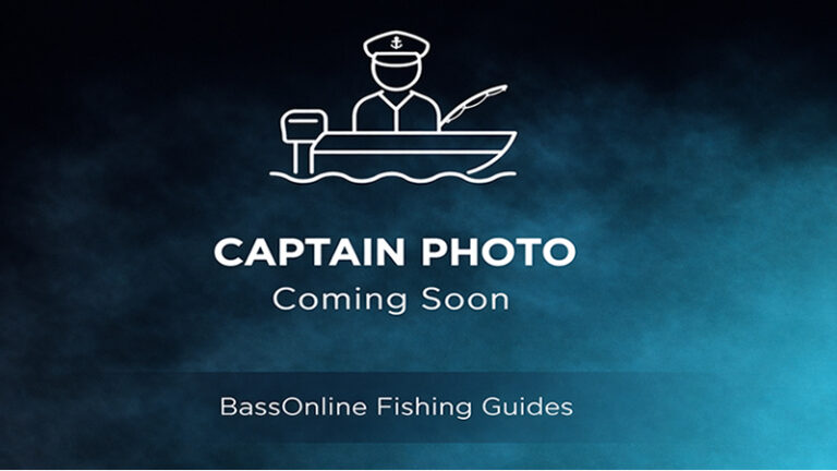 Bass Online Coming Soon